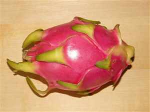 Dragon fruit (Hylocereus)