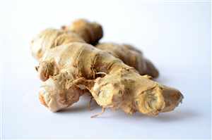 Ginger (Zingiber officinale)