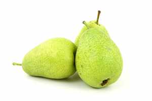 Pear (Pyrus)