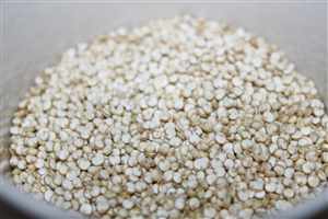 Quinoa (Chenopodium quinoa)