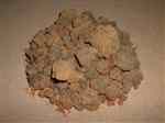 Myrrh (Commiphora myrrha)